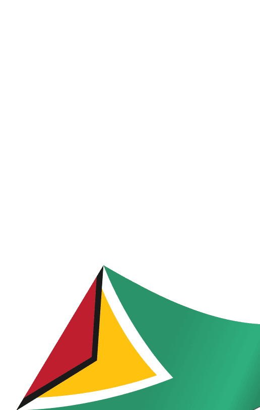 /images/bg-guyana-2.png